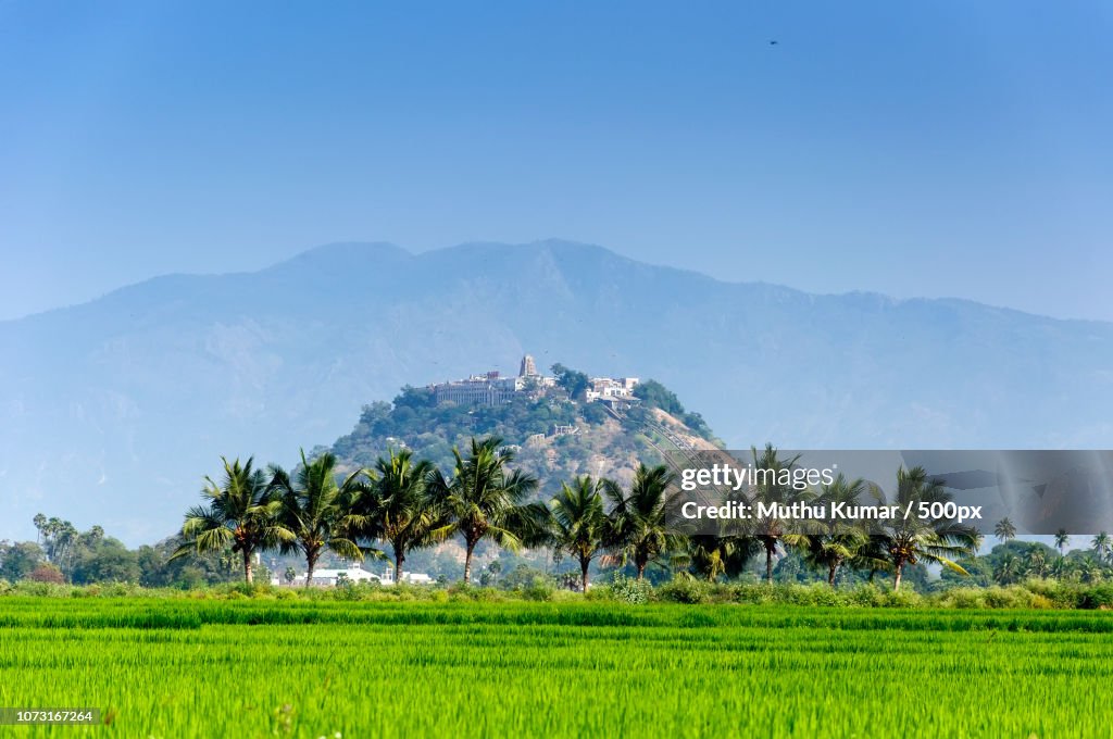 Java Palani Palani Murugan Temple Palani Tamilnadu India High-Res Stock Photo ...