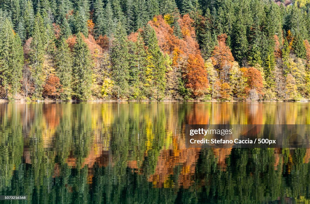 Natural mirror