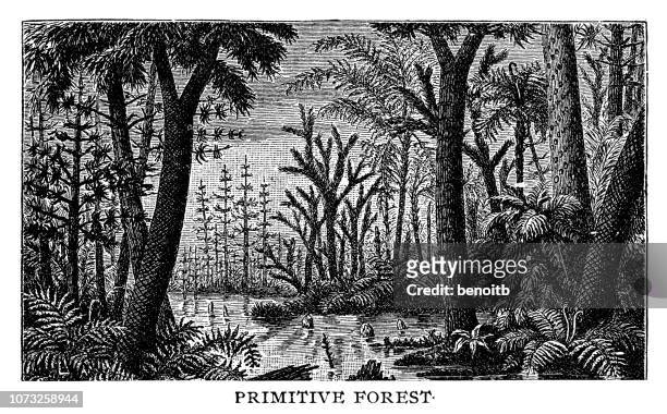 primitive forest - swamp illustration stock illustrations