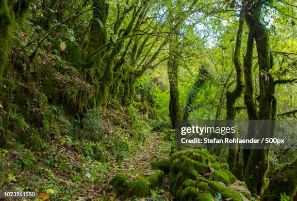Green, Bildbanksbilder