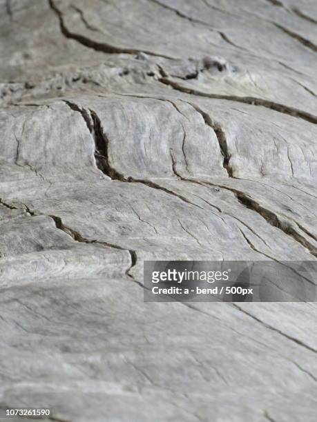 holz - holz textur stock pictures, royalty-free photos & images