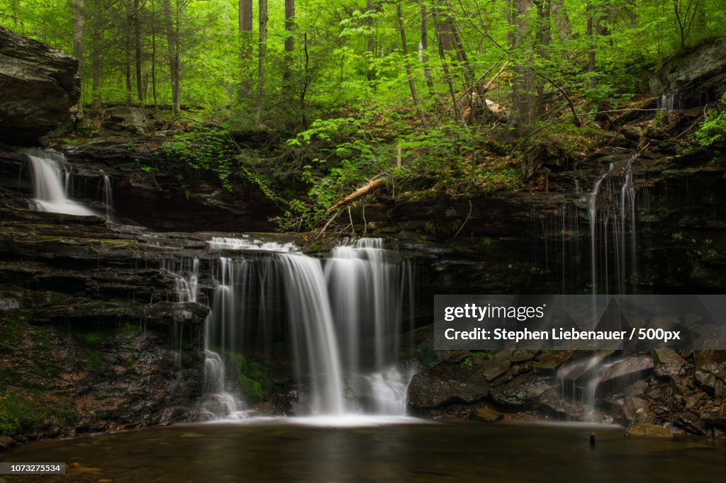 RB Ricketts Falls