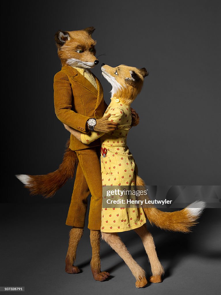 Fantastic Mr Fox Cast Fantastic Mr Fox: Meet The Foxes
