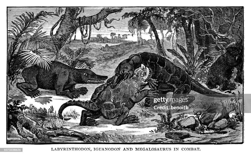 Labyrinthodon Outdated Labyrinthodon Iguanodon And Megalosaurus In Combat High-Res Vector ...