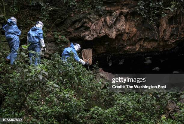 Jennifer McQuiston, Jonathan Towner and Brian Amman approach Bat Cave in Queen Elizabeth National Park on August 25, 2018. Amman and Towner, CDC...