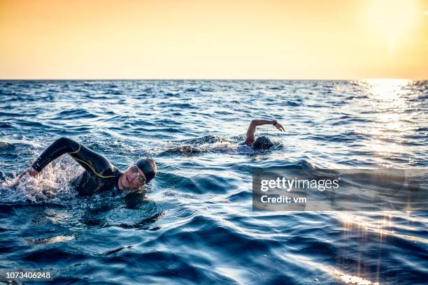 dos nadadores estilo libre de natación en el mar - neoprene fotografías e imágenes de stock