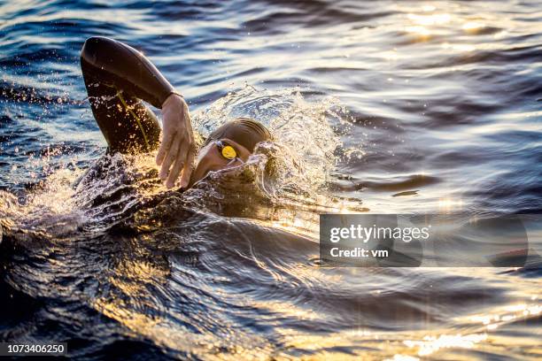 freestyle simning i en sol lyser havet - triathlon bildbanksfoton och bilder