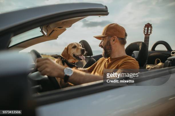 traveling with my best friend - dog and car stock pictures, royalty-free photos & images