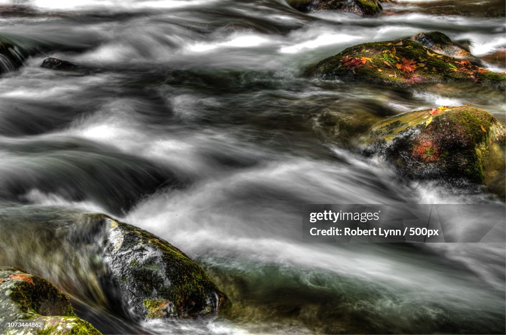 Big Creek Stream Detail