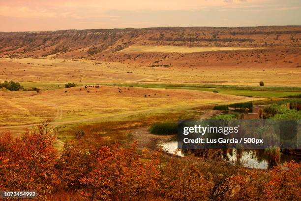 Lisi Ridge 53 Lisi Lake Stock Photos, High-Res Pictures, and Images - Getty Images