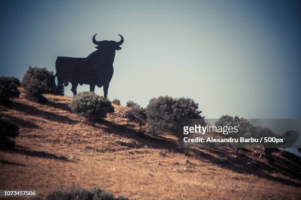 bull-shaped billboard in spain - bull billboard spain stock pictures, royalty-free photos & images