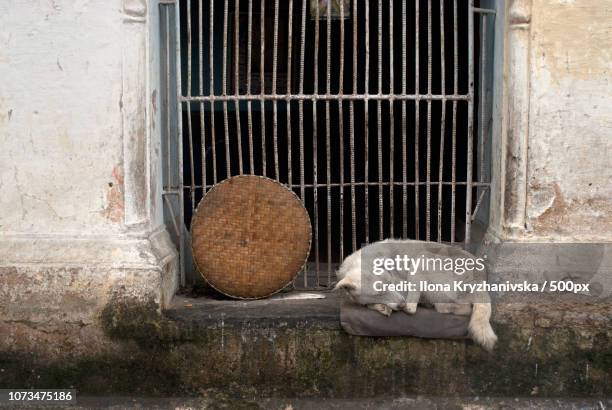 pokhara, nepal - happy house nepal stock pictures, royalty-free photos & images