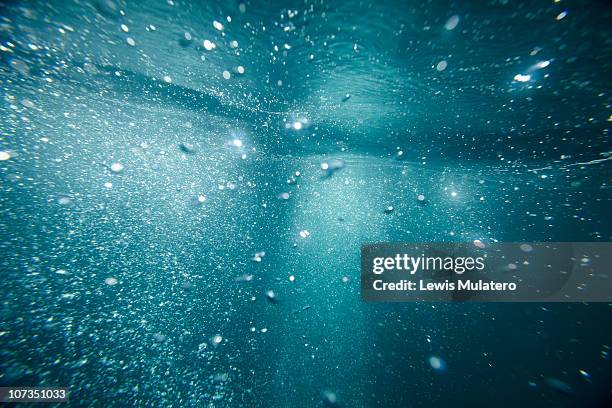 underwater bubbles rising to ocean sea surface - subacuático fotografías e imágenes de stock