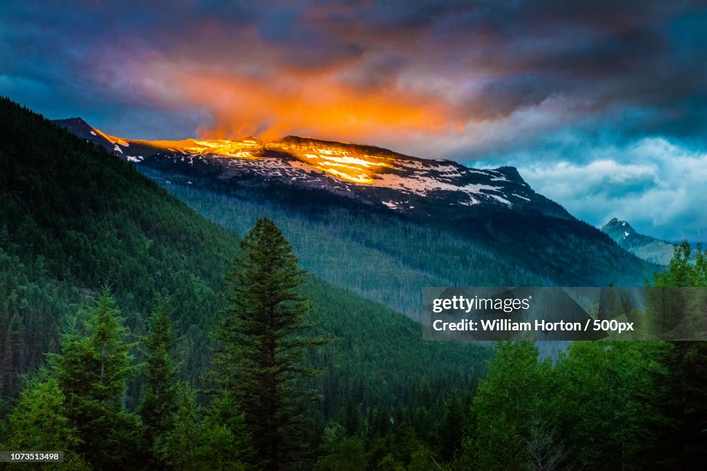 Fire on the Mountain