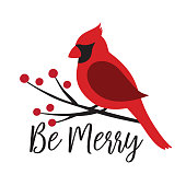 Red Cardinal Bird on a Winterberry Branch Vector Illustration