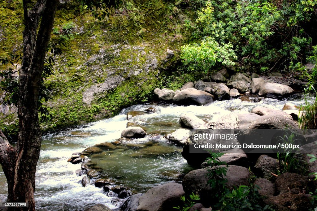 Hawaian River