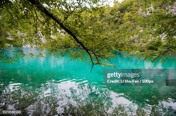 Li Shu Fan 33 Li Shu Fan Stock Photos, High-Res Pictures, and Images - Getty Images