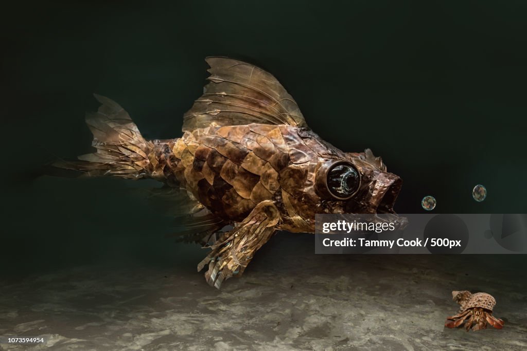 Steam Punk Fish