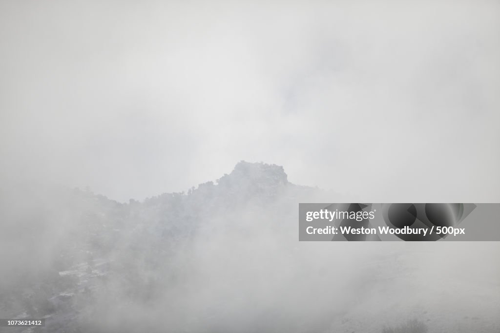 Through the white