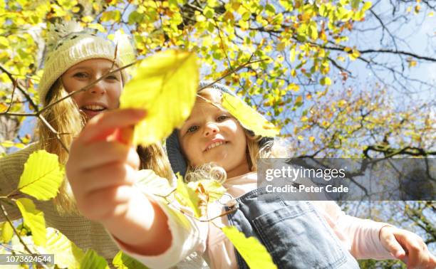 mother and daughter looking at autumn leaf - peter parks fotografías e imágenes de stock