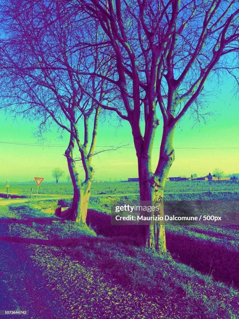 Formigara countryside IV Artistic