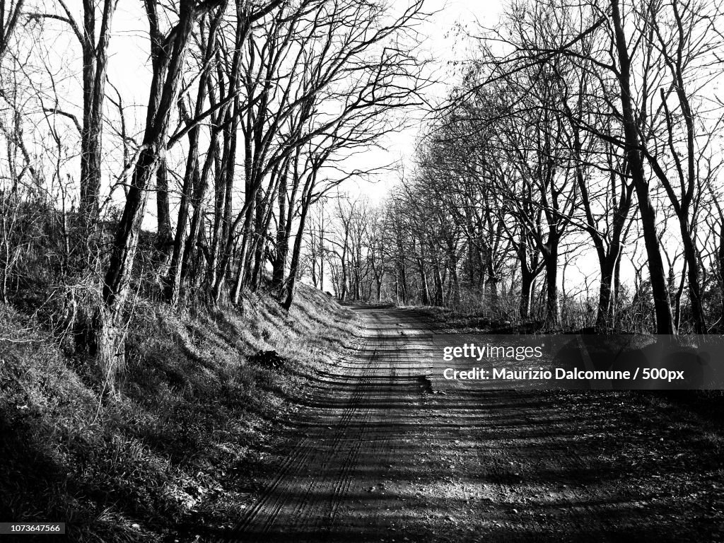 Formigara countryside B/W