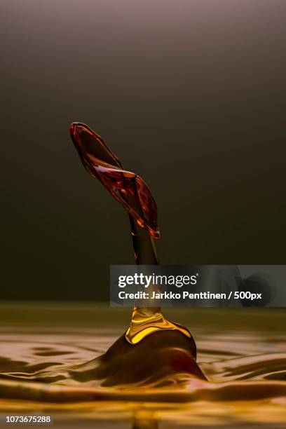 56 Dops Stock Photos, High-Res Pictures, and Images - Getty Images