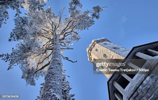 aulanko lookout tower - teemu tretjakov stock pictures, royalty-free photos & images