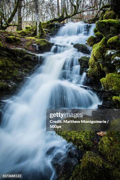 the birks of aberfeldy - birks of aberfeldy ストックフォトと画像