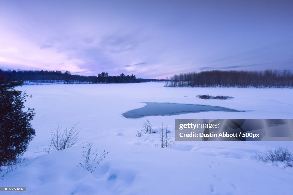 Frozen Wasteland