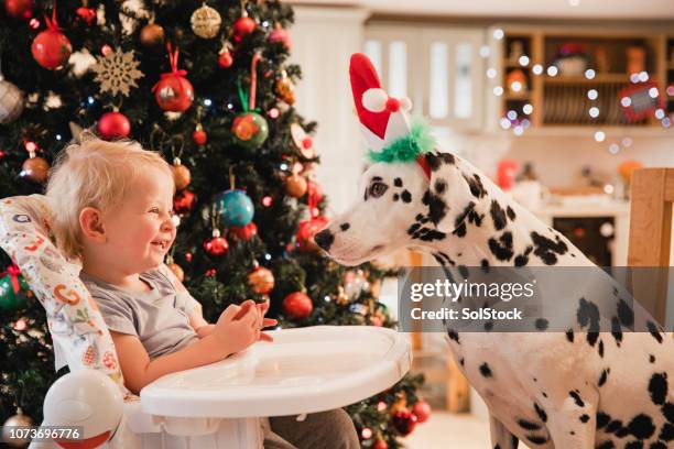 christmas festivities - high chair stock pictures, royalty-free photos & images