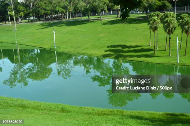 lago com reflexo (lake with reflection) - reflexo stock pictures, royalty-free photos & images