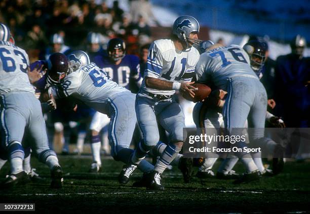 Minneapolis, MN Quarterback Greg Landry of the Detroit Lions turns to hand the ball off against the Minnesota Vikings during an NFL football game at...