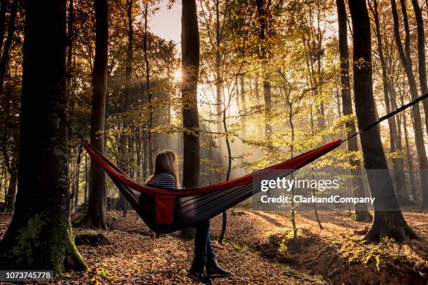 hammock in the woods - hammock camping stock pictures, royalty-free photos & images