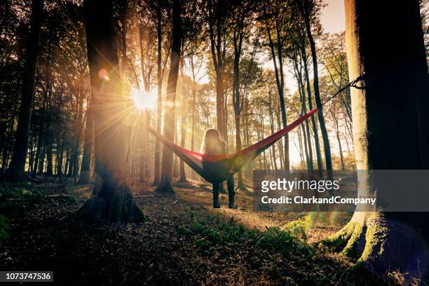 hammock in the woods - forest morning sunlight stock pictures, royalty-free photos & images