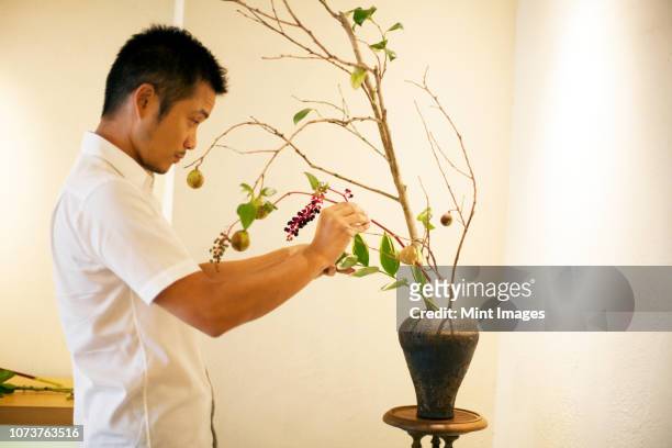 japanese man standing in flower gallery, working on ikebana arrangement. - japanese flower arrangement stock pictures, royalty-free photos & images