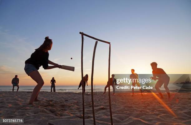 group of young adults playing cricket on beach at sunset - cricket game fun stock-fotos und bilder