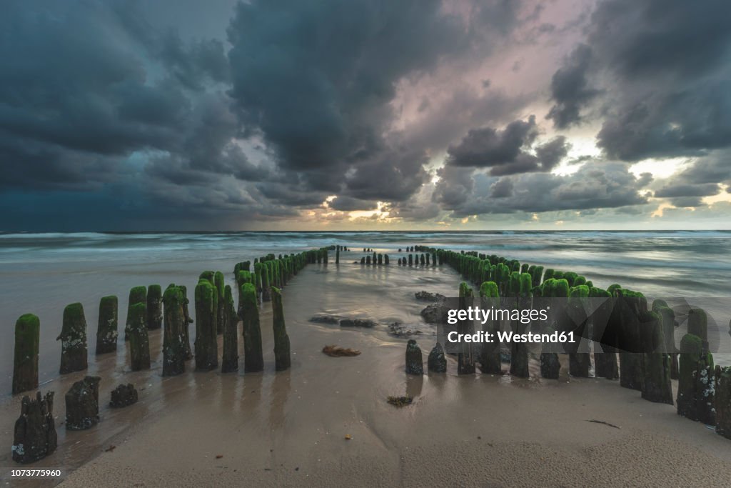 Germany, Schleswig-Holstein, Sylt, Rantum, groynes on West beach