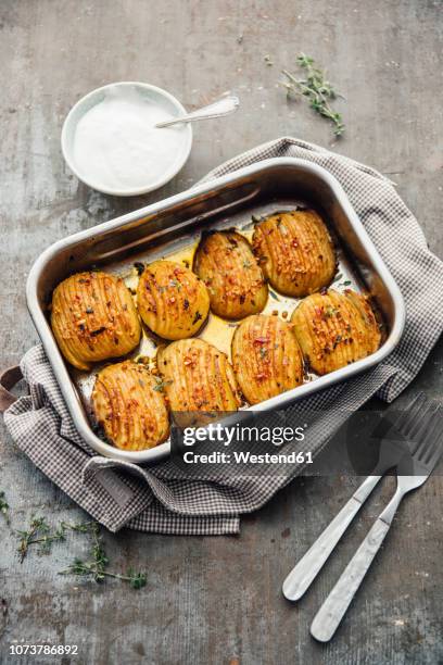 Hasselback Potatoes Hasselback Portrait Hasselback Potatoes Hasselback Potatoes Hasselback Portrait Hasselback Potatoes
