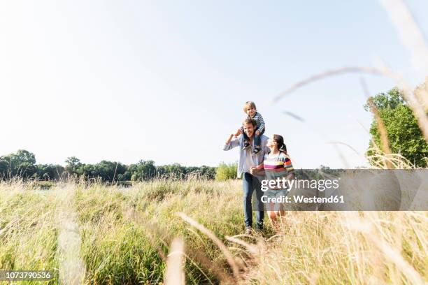 happy family walking at the riverside on a beautiful summer day - family walking stock-fotos und bilder