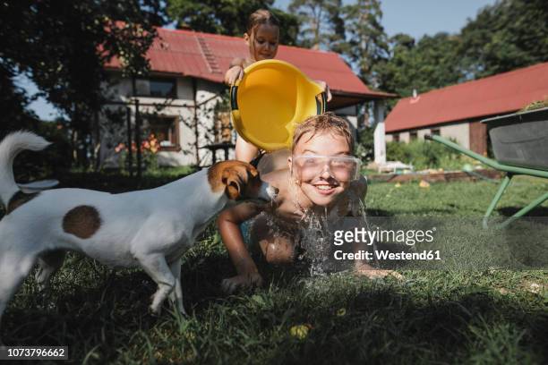 brother, sister and dog playing with water in garden - two animals ストックフォトと画像