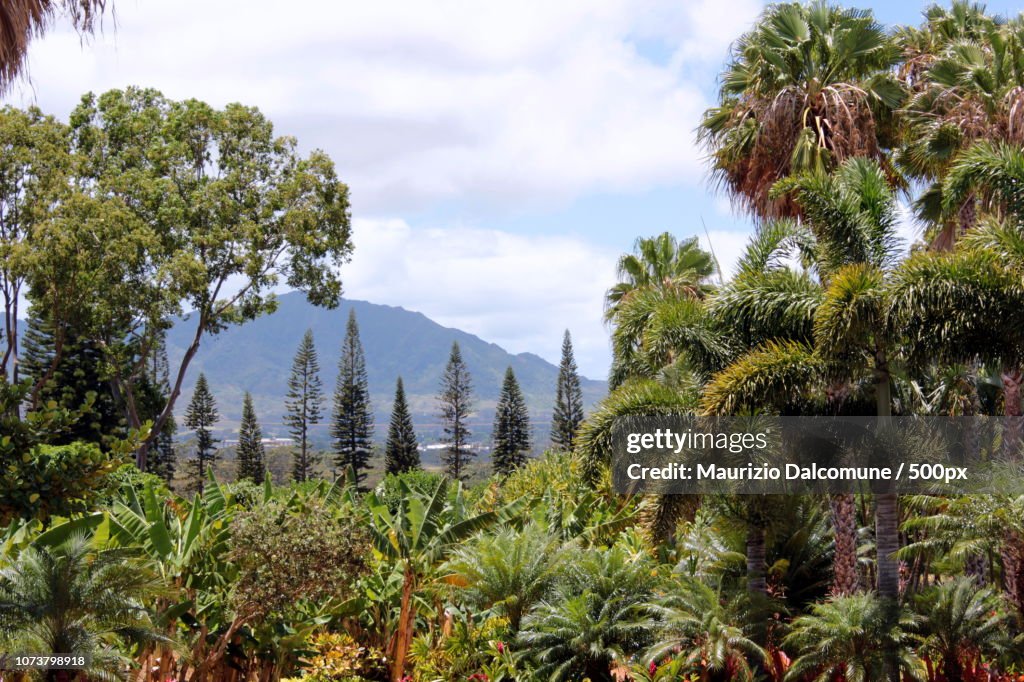 Middle Ohau
