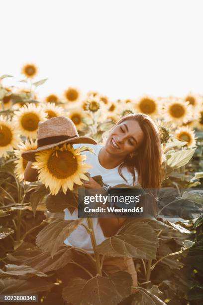 portrait of a young laughing woman with straw hat, standing in a field of sunflowers - happy sunflower stock pictures, royalty-free photos & images