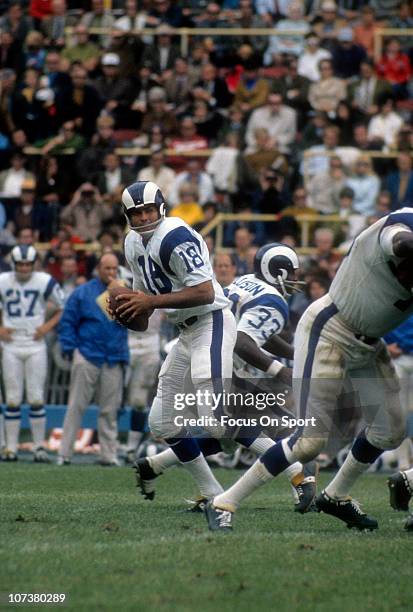 Quarterback Roman Gabriel of the Los Angeles Rams drops back to pass against the Buffalo Bills during an NFL football game at War Memorial Stadium...