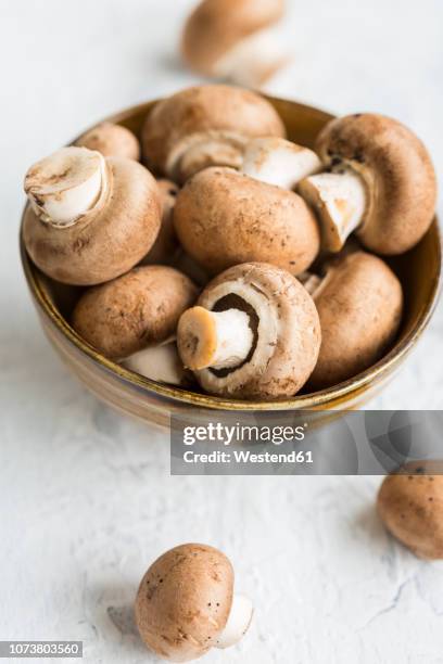 bowl of crimini mushrooms - crimini mushroom stock pictures, royalty-free photos & images