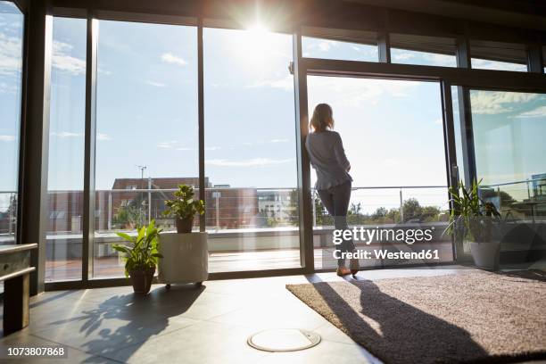 back view woman in backlight standing at the window at home looking out - interiors with plants and sun stock pictures, royalty-free photos & images