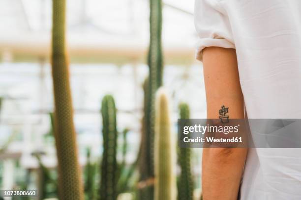 cactus tattoo on young woman's arm - tattoo imagens e fotografias de stock