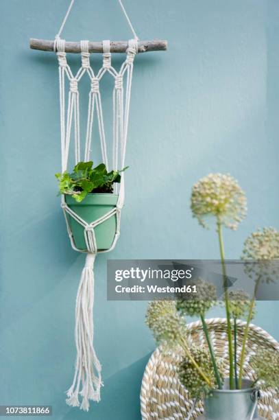 do it yourself, makramee attachment, ivy, braided tray, leek blossom - hangers stockfoto's en -beelden