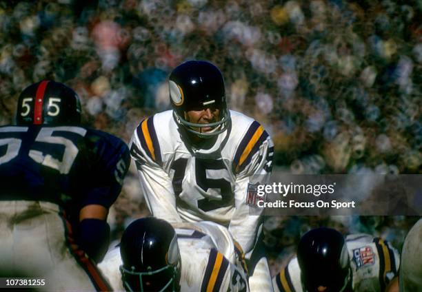 Quarterback Gary Cuozzo of the Minnesota Vikings stands under center against the New York Giants during an NFL football game at Yankee Stadium...