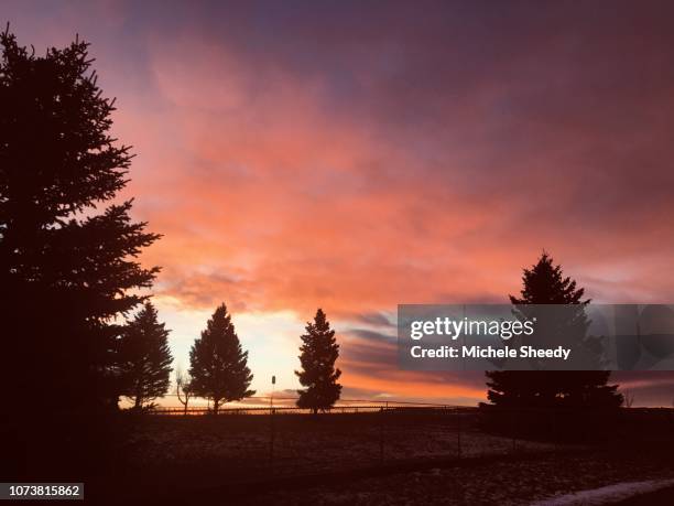 glorious sunrise in alberta - sheedy stock pictures, royalty-free photos & images